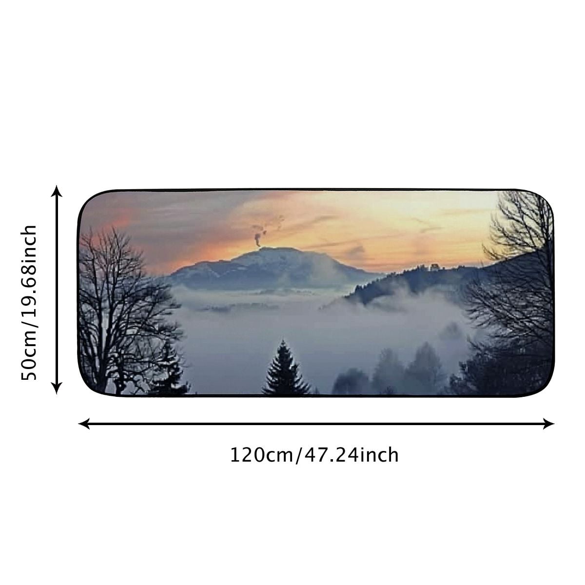 PHYHOO Decorative Door Mat, Door Mat with Non-Slip Rubber Backing, Easy Cleaning, Traps Dirt, Rug for Entry, Patio, Garage - Black Forest Rhine Valley Winter Clouds Panorama 19.68*47.24 in