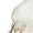 D, variant on Christmas Women Winter Shoes Cartoon Print Fur Lined Wide Width Lace up Round Toe Fashion Casual Shoes