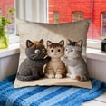 thumbnail image 6 of Euaioeiu Cute Animal Pillow Cover Fluffy Embroidery Decorative Throw Pillow Case Soft Accent Cushion Cover for Living Room Sofa Bedroom Decor Festival Home Decor, 6 of 6