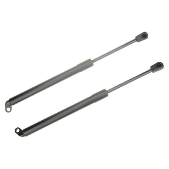 2x Tailgate Trunk Lift Supports Struts For BMW 525i 528i 530i 540i M5 E39
