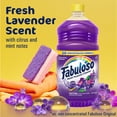 thumbnail image 4 of Fabuloso Limpiador Multiusos Concentrado 2X 1650 ml, 4 of 9