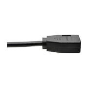Tripp Lite HDMI to DisplayPort Active Converter 4K with USB Power, HDMI to DisplayPort (M/F), 4096 x 2160/4K x 2K @ 30 Hz, 6 in., Black