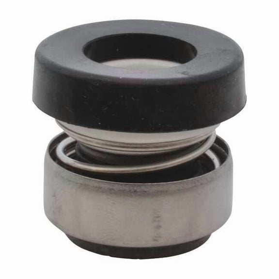 Dayton Mechanical Seal PP60010G