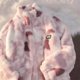thumbnail image 1 of New Women's Tie Dye Lamb Fleece Jacket Autumn Winter Zipper Outerwear Warm Plush Jackets Harajuku Casual Loose Female Thick Coat, 1 of 4