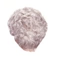thumbnail image 1 of Perruque de Mode pour Femmes Perruque Argentée Synthétique Cheveux Courts Perruque Vague, 1 of 5