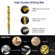 thumbnail image 5 of Juego de brocas HURRICANE Titanium Twist 230 piezas HSS 135°, 5 of 8