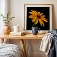 thumbnail image 4 of Black Eyed Susan - Photography Floral Flowers Botanical Nature Garden Summer Scenic Oak Framed Wall Art Print 16 x 16 inches, 4 of 8