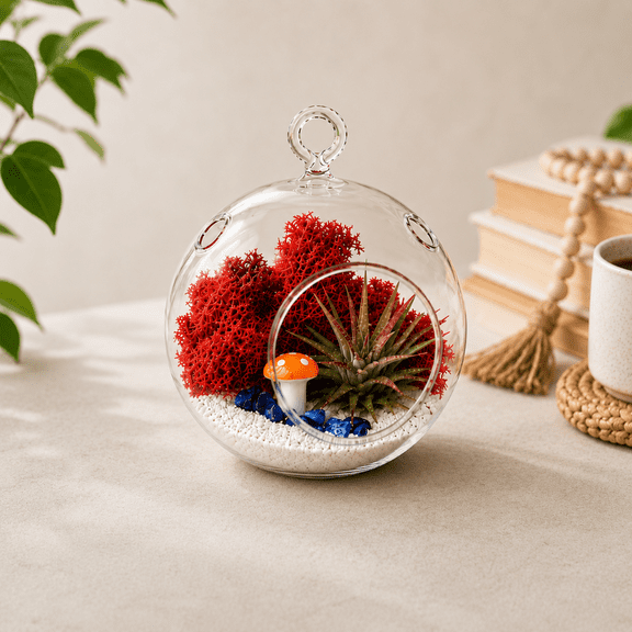 Creations by Nathalie - DIY Terrarium Kit with Live Air Plant (Local & Fresh from Florida), Glass Globe, Reindeer Moss, Figurine, Healing Crystal Chips and Sand - Handmade in USA