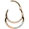thumbnail image 2 of Body Candy 16G Plated Steel Hinged Segment Ring Seamless Cartilage Rosy Synth Opal Double Row Nose Hoop 3/8", 2 of 3
