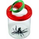 thumbnail image 1 of Juegos educativos - Lupa de insectos Caja roja ER, 1 of 3