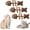 Brown*3, variant on Sterling Whiskers Cat Chew, Catnip Silvervine Fish Bone Chew Stick, Natural Wooden Chew Accessory, Fish Bone Shaped Indoor Activity Item (Green*3)