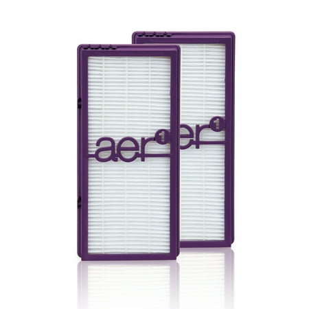 Holmes aer1 True HEPA Air Filter, 2 Count (Best Performance Air Filter)