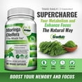 thumbnail image 3 of GreeNatr Pure Moringa Oleifera Leaf Extract Capsules * Premium Green Superfood, 3 of 9