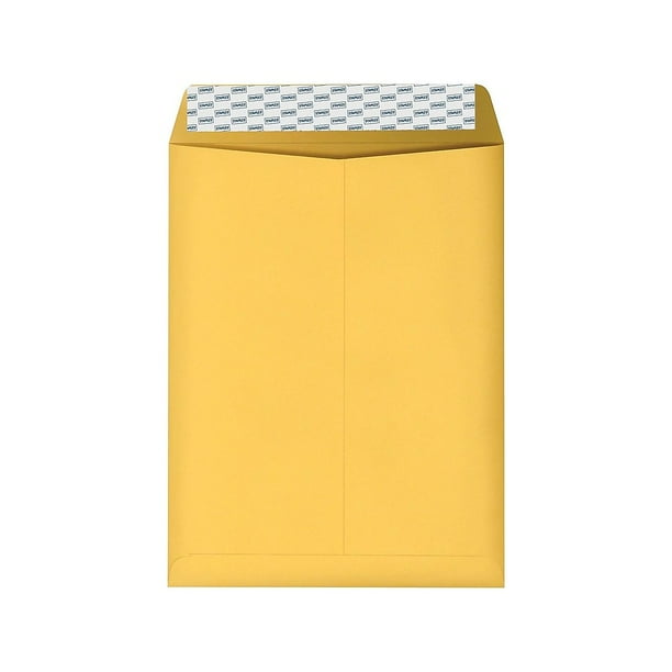 Staples EasyClose Catalog Envelopes 10"L x 13"H Brown 100/BX (381969/