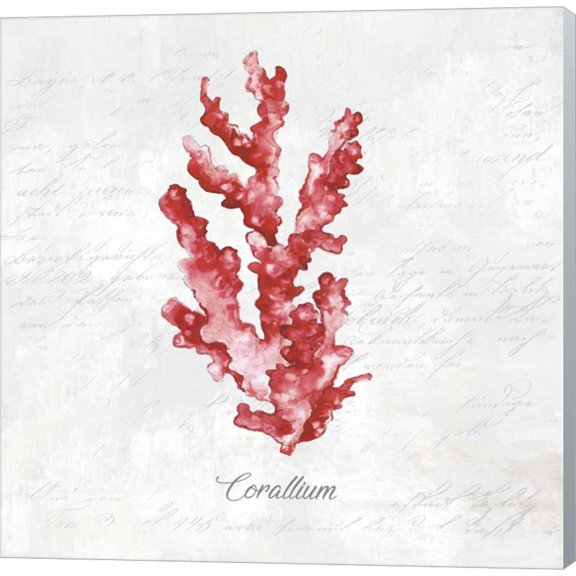 Red Sea Coral by Eva Watts, Canvas Wall Art, 24W x 24H