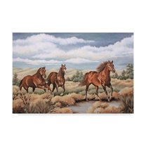 Trademark Fine Art 'Spirit of the Southwest' Canvas Art by Carol J Rupp