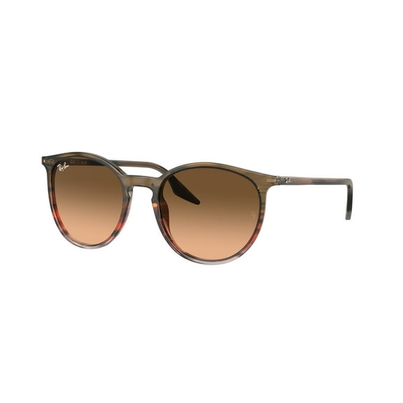 Sunglasses Ray-Ban RB 2204 13953B Striped Brown Gradient Red Bia