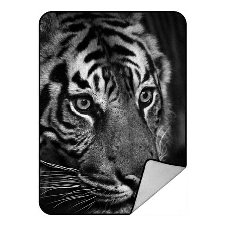 Bengal Blanket - YKCG Bengal Tiger Wildlife Animal Blanket Crystal Velvet Front and Lambswool Sherpa Fleece Back Throw Blanket 58x80inches