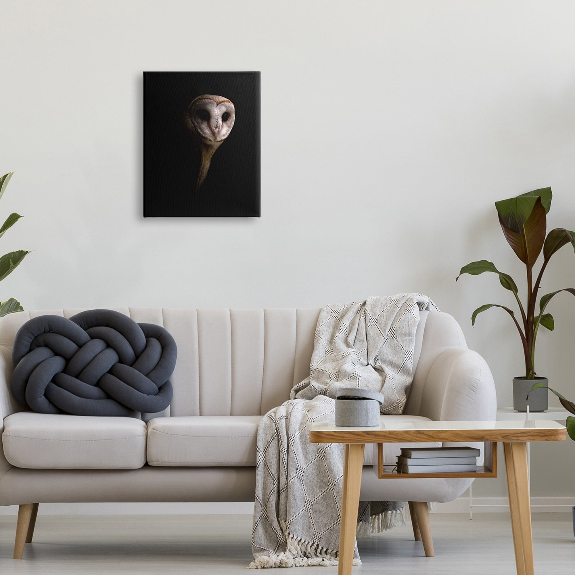 Stupell Industries Beautiful Intense Barn Owl Black Shadow Photography Portrait Gallery-Wrapped Canvas Print Wall Art, 16x20, by Incado