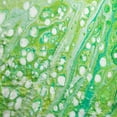 thumbnail image 4 of Dalyn Kikiamo Area Rug KK5-Lime-In KK5LM8RO Lime-In, 8' x 8', 4 of 5