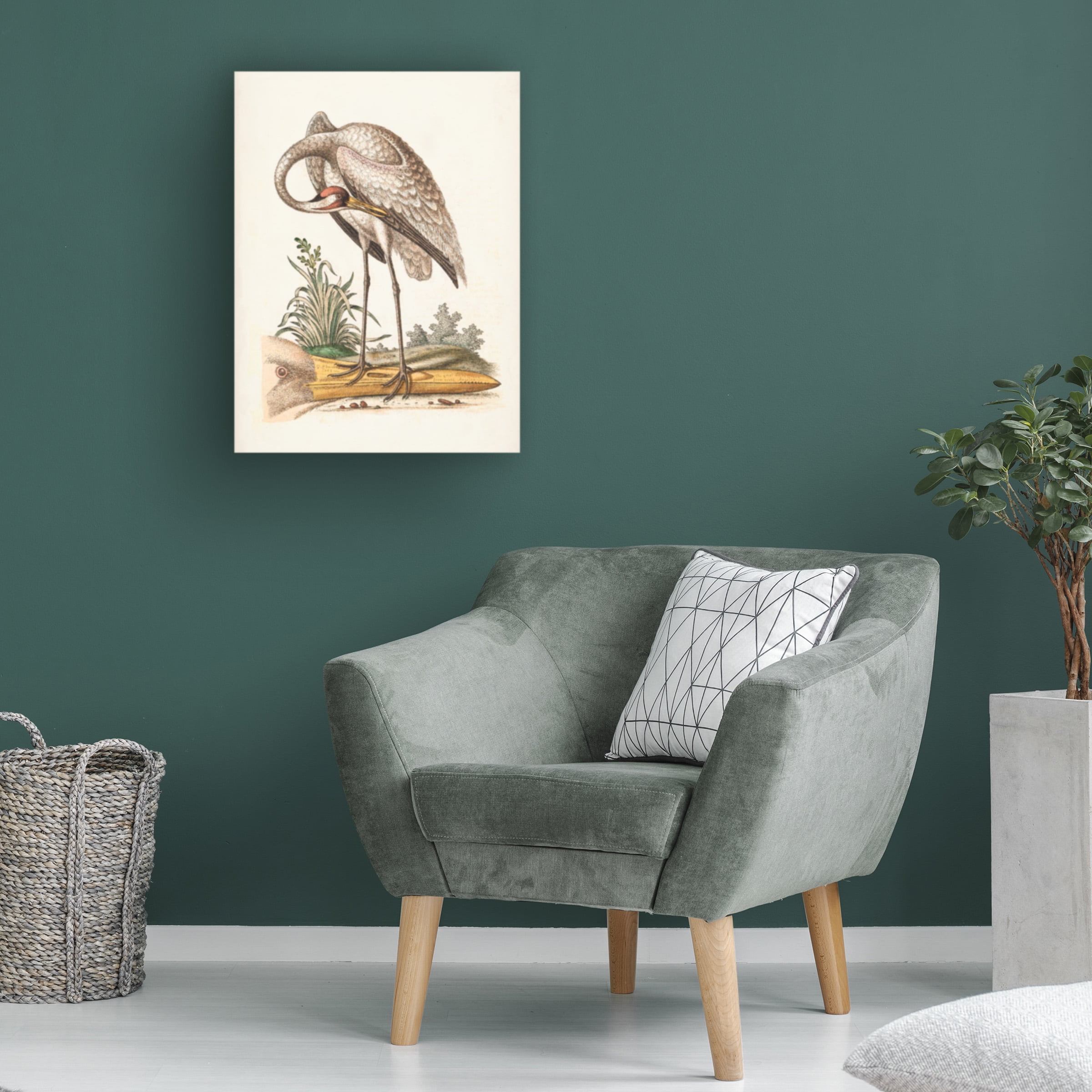 George Edwards 'Antique Heron and Cranes IV' Canvas Art