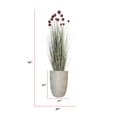 thumbnail image 2 of Artificial red Pampas Grass | 56” | Tall faux grass in planter| Home Decor By Vintage Home, 2 of 7