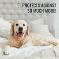 thumbnail image 4 of DMI Waterproof Mattress Protector, Full Zippered Encasement Mattress Cover, Quiet Protection for Incontinence and Bedwetting, 4 of 6