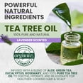 thumbnail image 4 of KESMEDIK Tea Tree Lavender Shampoo with Mint & Rosemary, Clarifying Deep Clean for Buildup, Dandruff & Cools Refreshes Itchy Scalp, Sulfate-Free for Oily Hair, Women & Men, 16 fl oz, 4 of 7