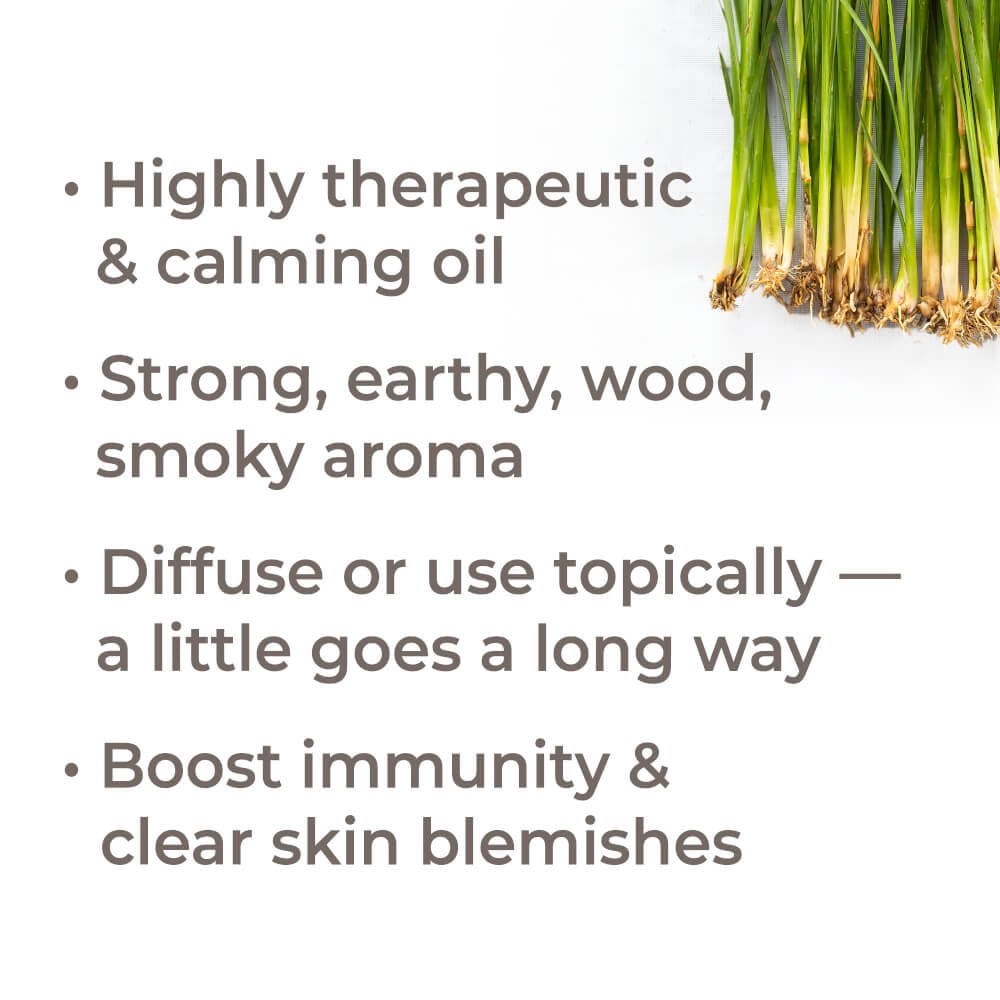 Plant Therapy Organic Vetiver Essential Oil 10 mL (1/3 oz) 100% Pure, Undiluted, Therapeutic Grade