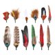 thumbnail image 1 of Plumas de sombrero perfecl surtidas para sombreros de fieltro y decoración de disfraces Estilo D, 1 of 8
