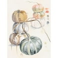 thumbnail image 3 of Parker, Jennifer Paxton 12x14 Black Modern Framed Museum Art Print Titled - Harvest Pumpkins II, 3 of 5