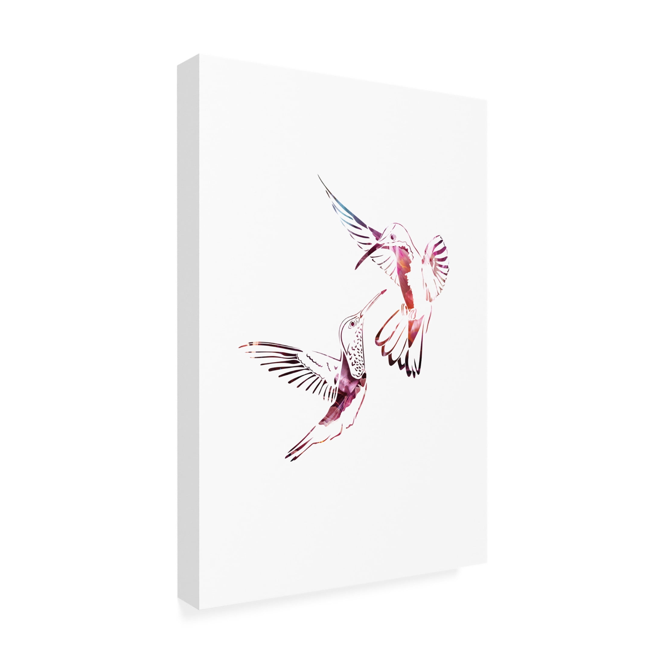 Trademark Fine Art Sarah Manovski  Colourful Hummingbirds Canvas Wall Art