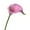 Pink, variant on Verdsylv Artificial Calla Lily, 1 Stem Calla Lily Artificial Flower - Realistic Floral Arrangement for Wedding Home Table Centerpiece Party Decor, Wedding Floral Arrangement, Dark Purple