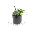 thumbnail image 3 of Vickerman FM181301 8 in. Green Succulents in Cement Pot, 3 of 3