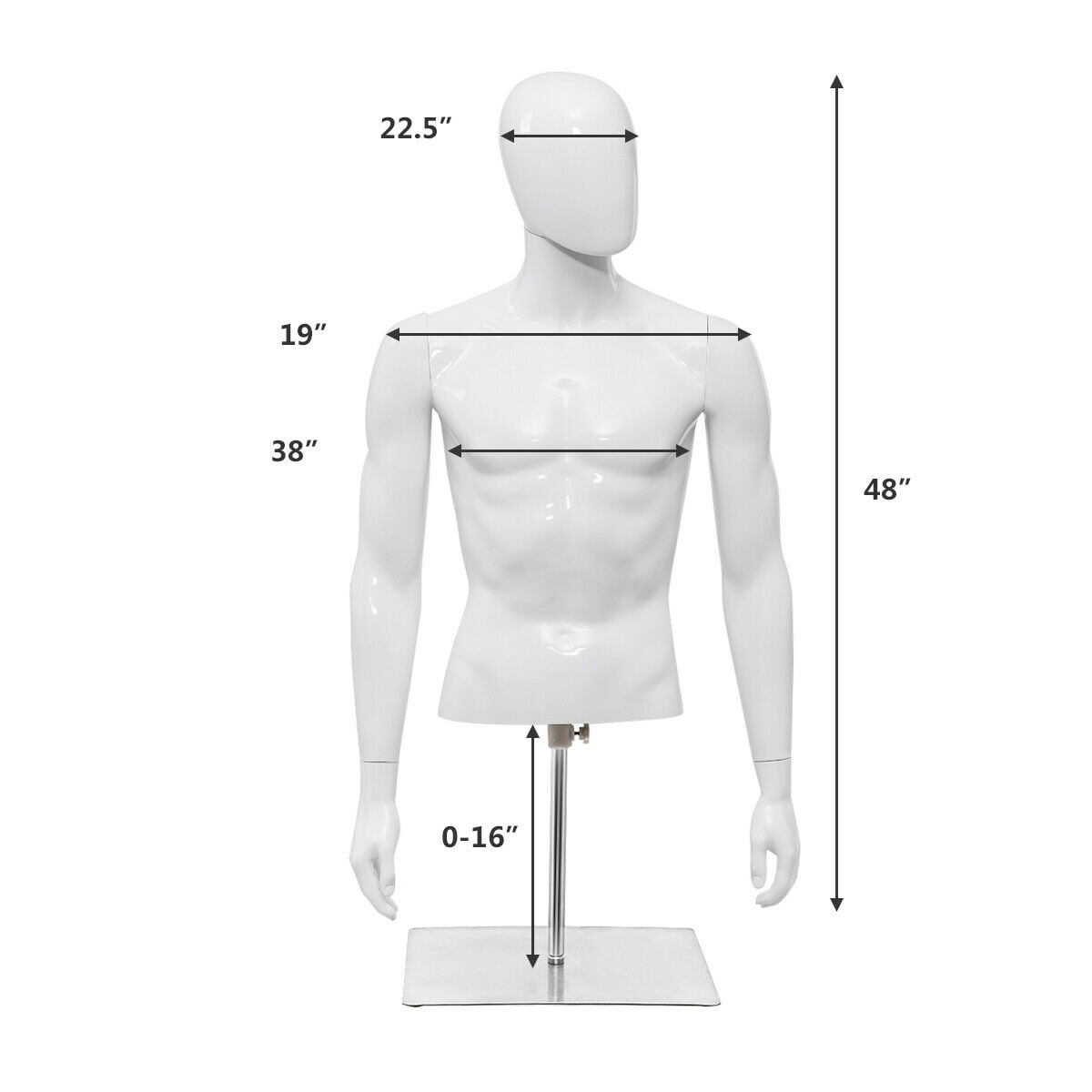 Chest 36", Waist 30" Male Plastic Half Body Mannequin Torso 