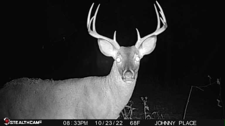 Stealth Cam Deceptor NO GLO 80ft Detection & IR Range 40MP Photo 1440P HD Video Capture Remote App Contol Wireless Hunting Cellular Trail Camera - Available on AT&T & Verizon