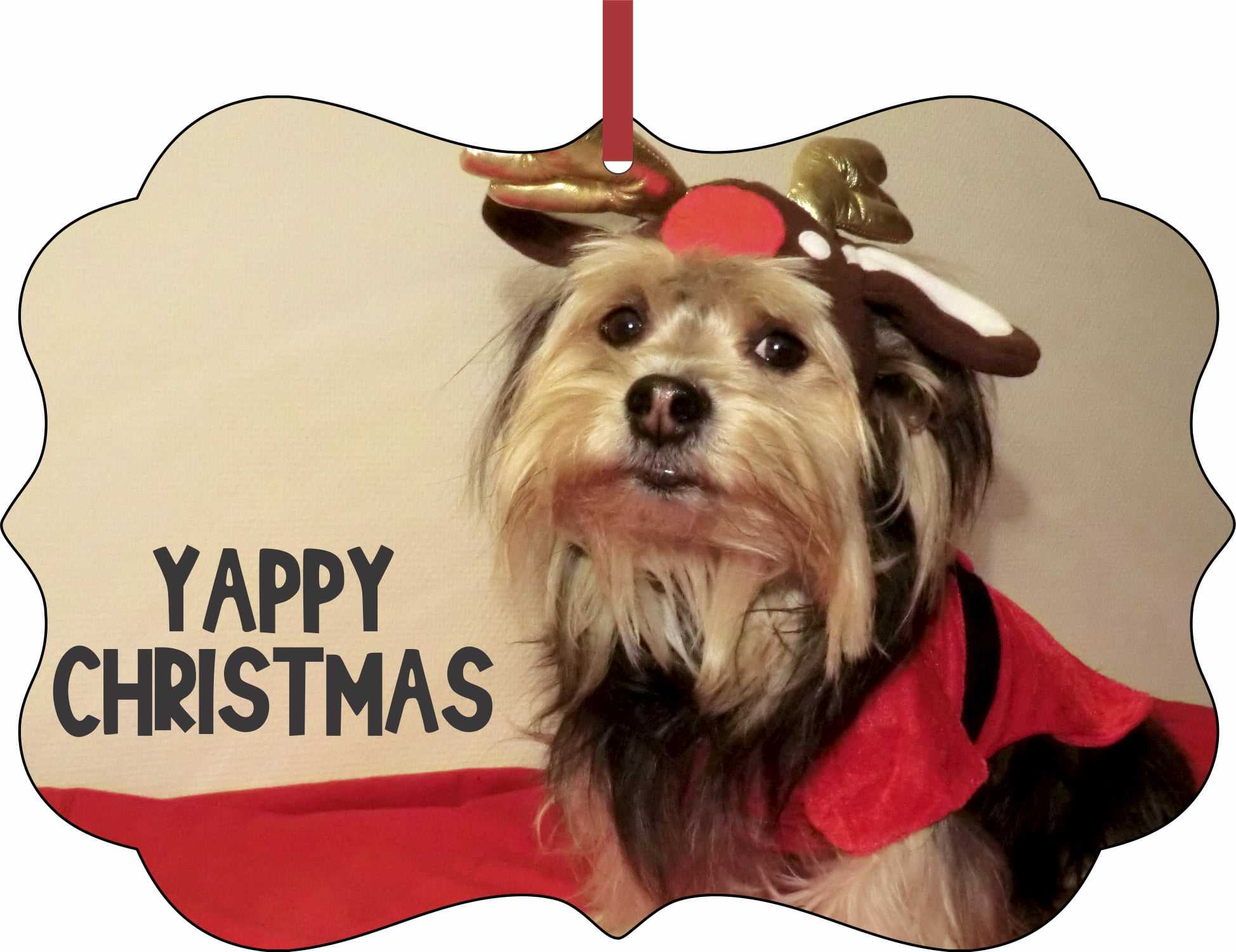 Christmas Yorkie Aluminum Holiday Quality in the Ornament ... Benelux SemiGloss Christmas Tree Aluminum Christmas Shaped Yappy Made in Hanging Garb - ... - Yappy in Shaped Aluminum the Garb Holiday Ornament SemiGloss Christmas Aluminum in Benelux Made Christmas Yorkie Christmas Quality Hanging Tree