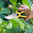 BELLZELY Household Tools Clearance Garden Pruning Shears Stainless