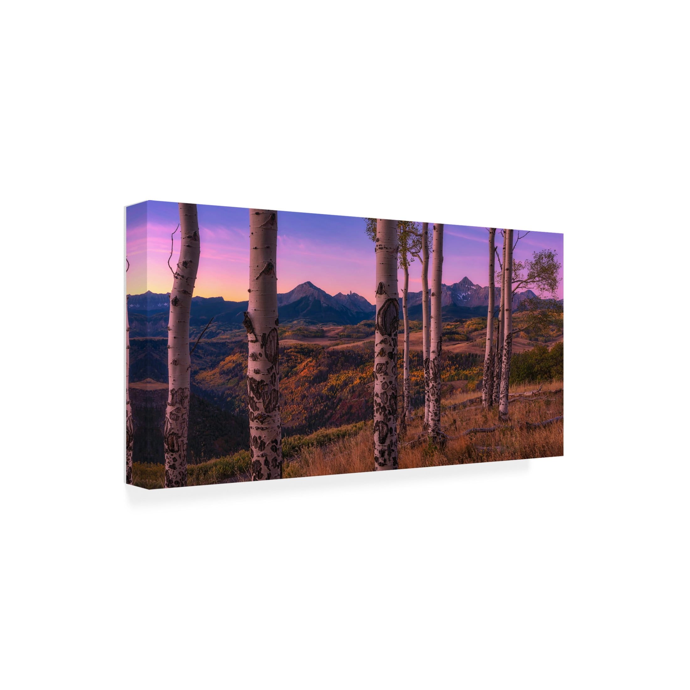 Canvas Wall Art - Mei Xu 'Aspen Frames' Wall Art for Living Room, Bedroom, or Office Décor by Trademark Fine Art - 19 x 10 Inches