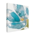 thumbnail image 2 of Trademark Fine Art 'Flower Splash I' Canvas Art by Jennifer Goldberger, 2 of 4