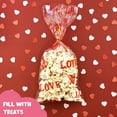 thumbnail image 6 of Wrapables Valentines Cellophane Treat Bags With Twist Ties for Candy, Cookies, Treats, Gifts and Party Favors (100pcs), Love Hearts, 6 of 6