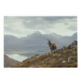 thumbnail image 1 of Deer Cutting Board, Wild Stag Overlooking Loch Torridon and Dramatic Western Ross Mountain Nature View, Decorative Tempered Glass Cutting and Serving Board, Large Size, Brown White, by Ambesonne, 1 of 1