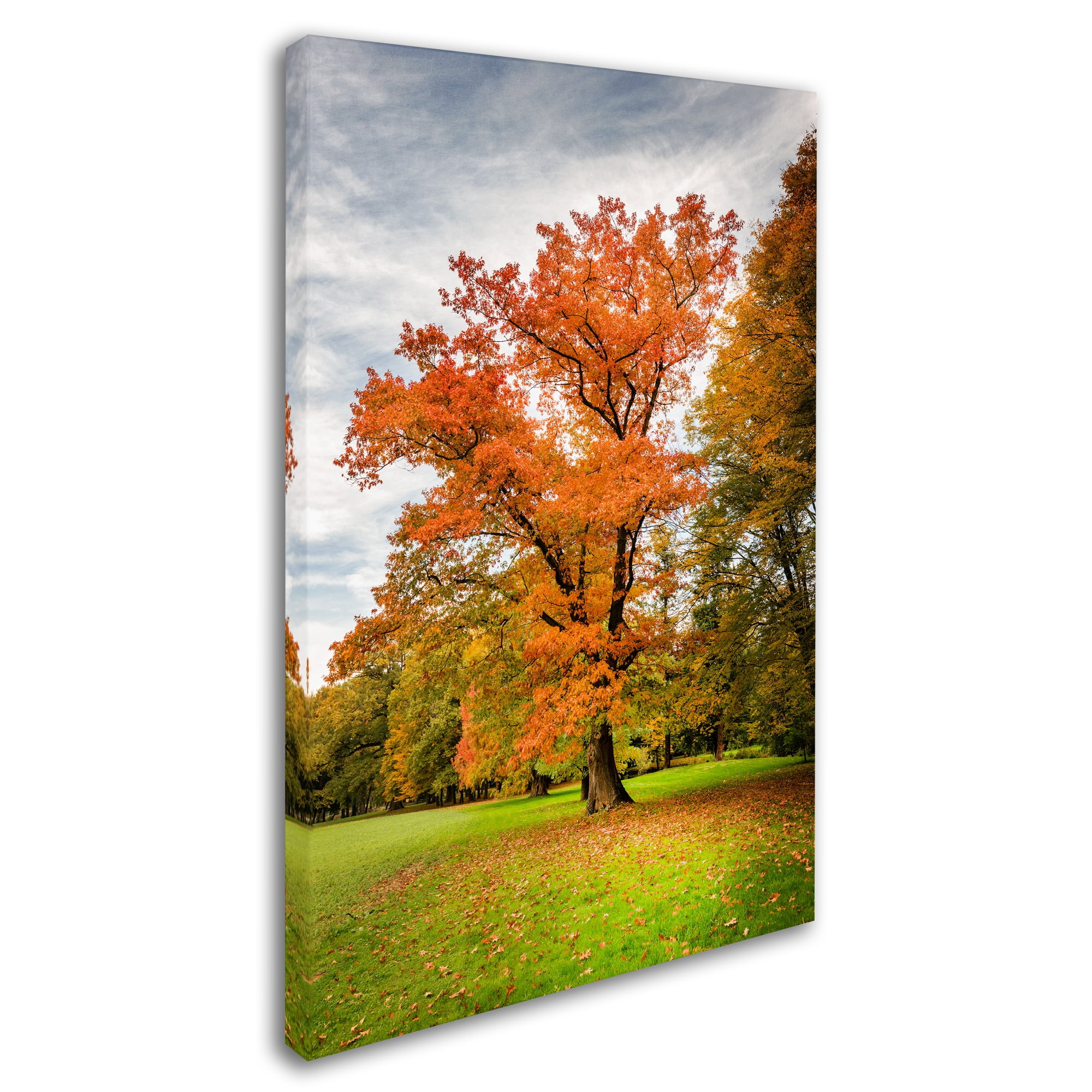 Trademark Fine Art "Burning Desire" Canvas Art by Philippe Sainte-Laudy