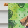 thumbnail image 3 of Carolines Treasures BB9874CHF Welsh Terrier St Patricks Flag Canvas House Size  Large multicolor, 3 of 4