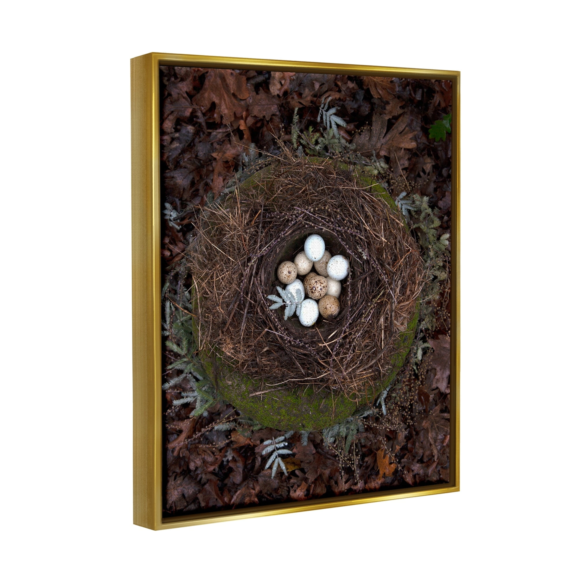 Stupell Industries Bird Nest Wildlife Forest Nature Speckled Eggs Photograph Metallic Gold Floating Framed Canvas Print Wall Art, Design by Tania Soderman