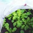 thumbnail image 3 of Winter Heat Preservation And Cold-Proof Plant Cover Non-Woven Plant Frost-Proof Cover Cloth, 3 of 12
