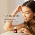 thumbnail image 3 of Mezcla de aceites esenciales Young Living Purification 15 ml, 3 of 5