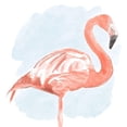 thumbnail image 3 of Bannarot 15x15 Black Modern Framed Museum Art Print Titled - Tropical Flamingo II, 3 of 5