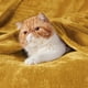 thumbnail image 4 of Manta polar para cama, color amarillo mostaza, 130 x 150 cm, 300 g/m², 4 of 8