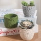 thumbnail image 3 of Yuarrent El soporte para plantas de grano de roca agrega belleza y elegancia al lugar de vida Hierbas Piedra Grano de roca volcánica Jardín y Patio Blanco, 3 of 6
